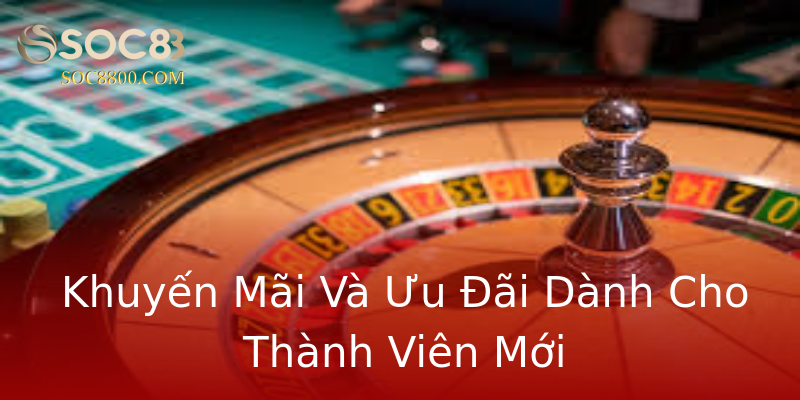 Khuyến Mãi Và Ưu Đãi Dành Cho Thành Viên Mới Khuyến Mãi Và Ưu Đãi Dành Cho Thành Viên Mới