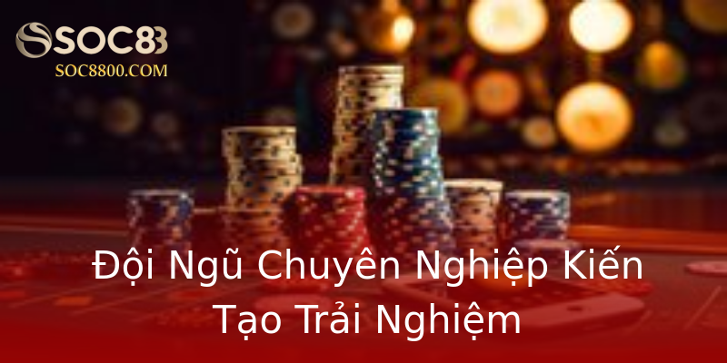 Đội Ngũ Chuyên Nghiệp Kiến Tạo Trải Nghiệm Đội Ngũ Chuyên Nghiệp Kiến Tạo Trải Nghiệm
